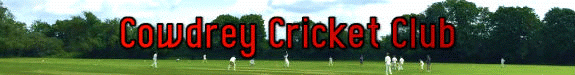 Cricket Recruitment Banner